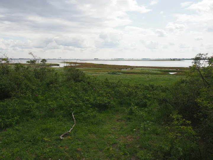 Halshuisene + Enebaerodde Beach (Denemarken)